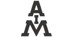 American Iron and Metal