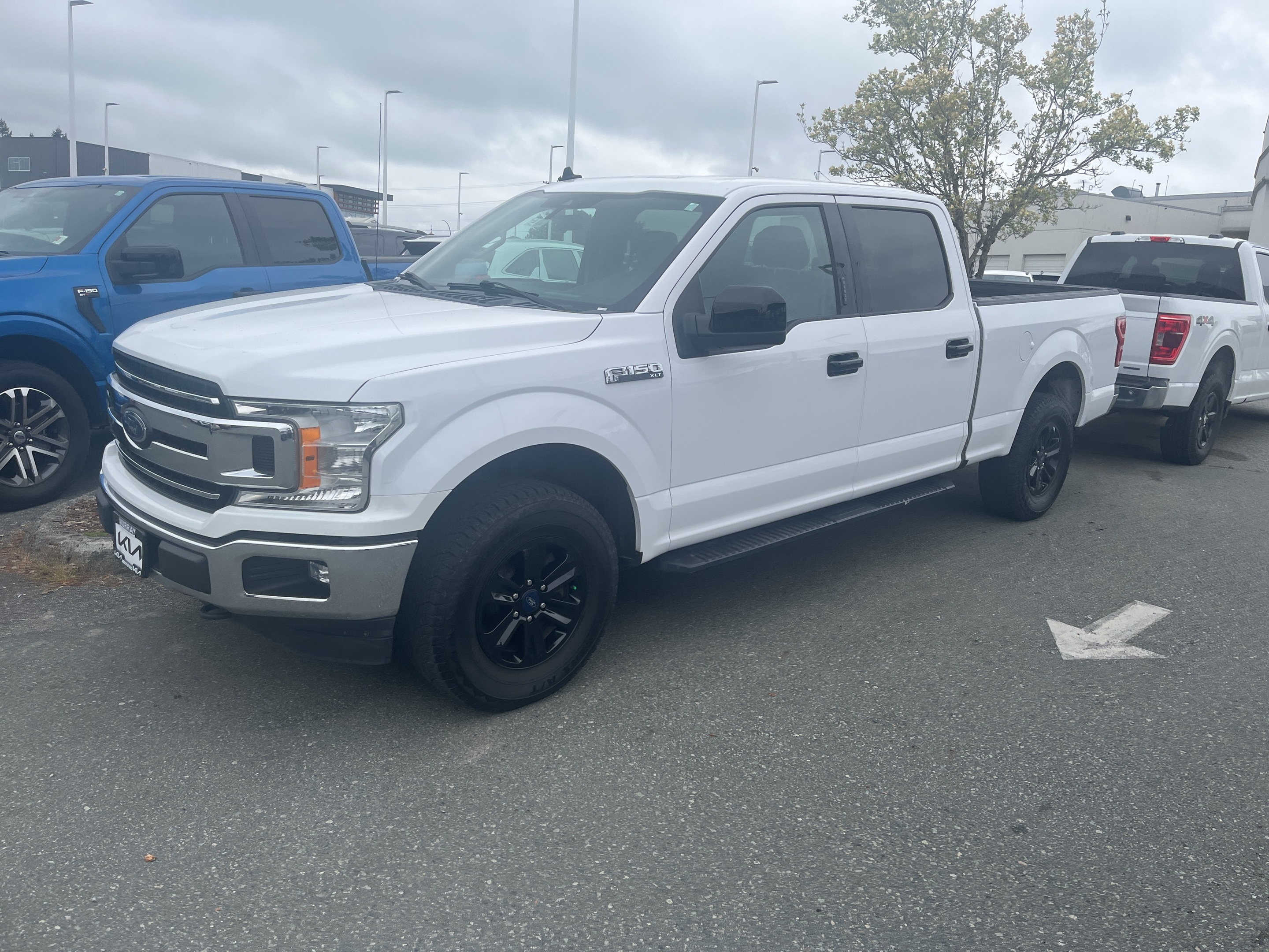 2019 Ford F-150 XLT White