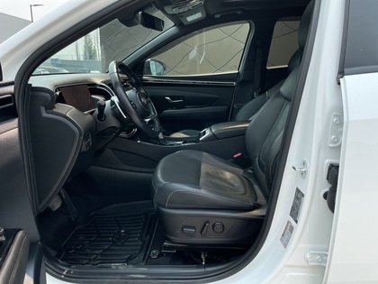 used 2023 Hyundai Santa Cruz car, priced at $32,636