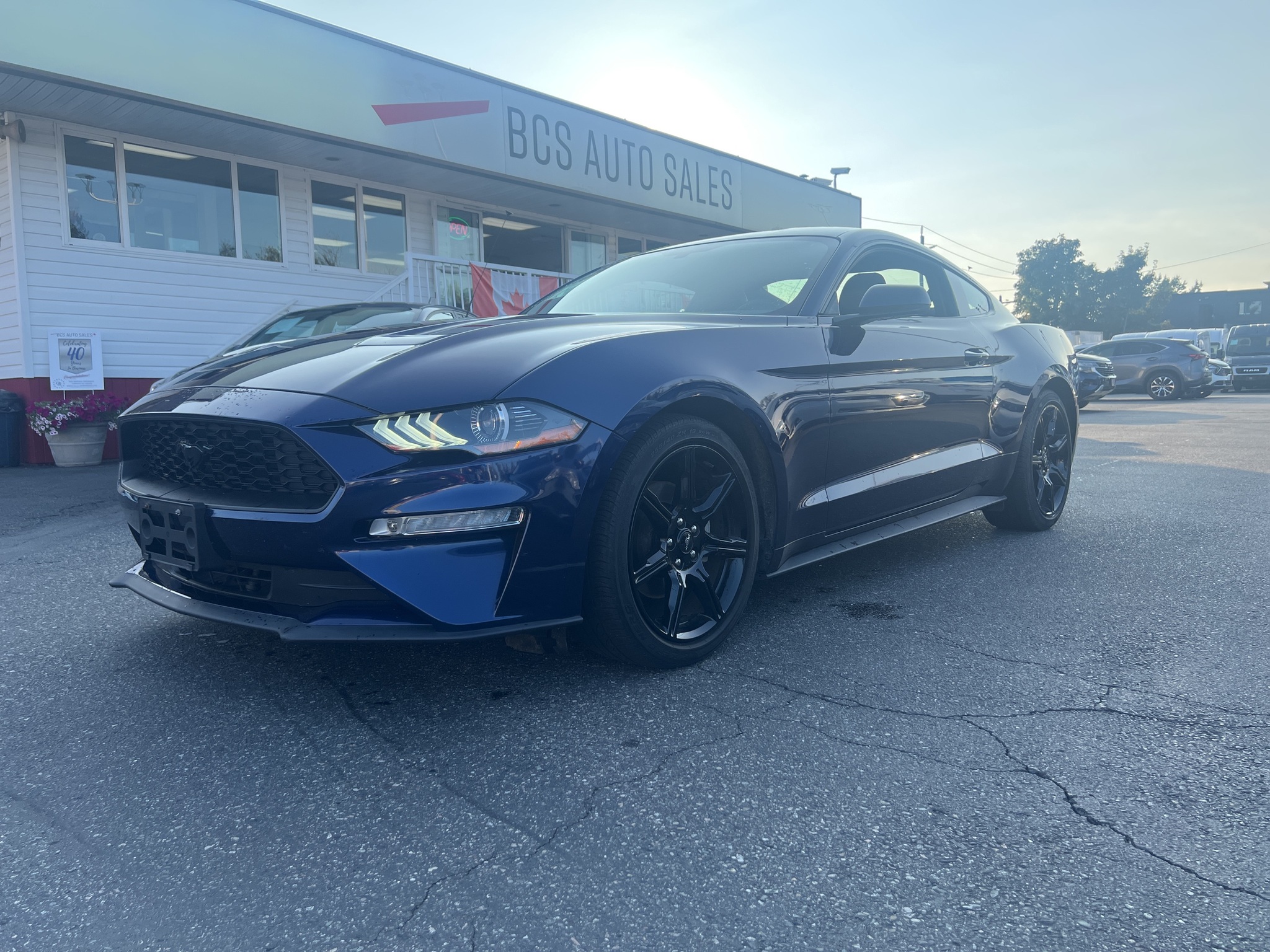 2019 Ford Mustang