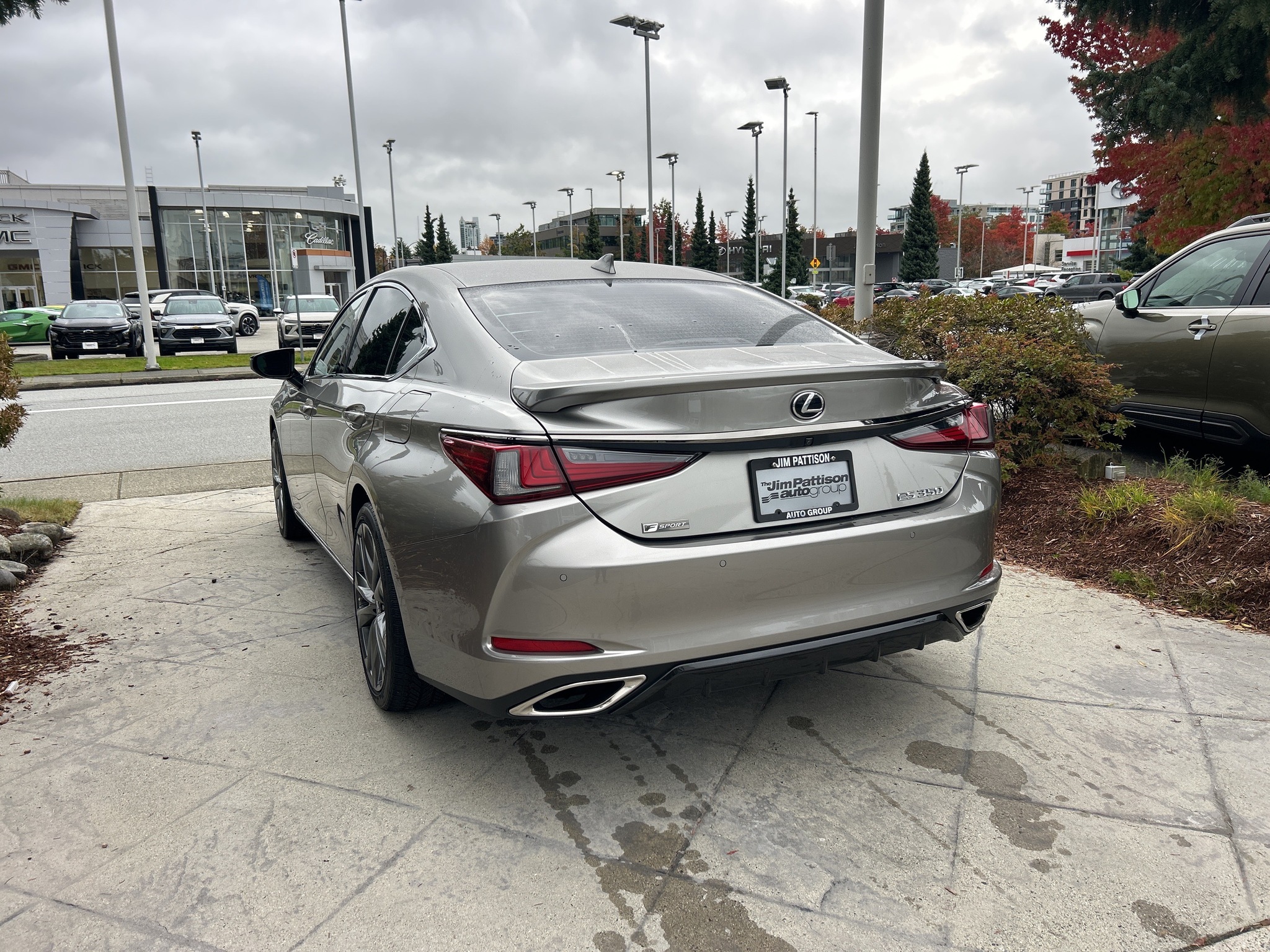 2019 Lexus ES