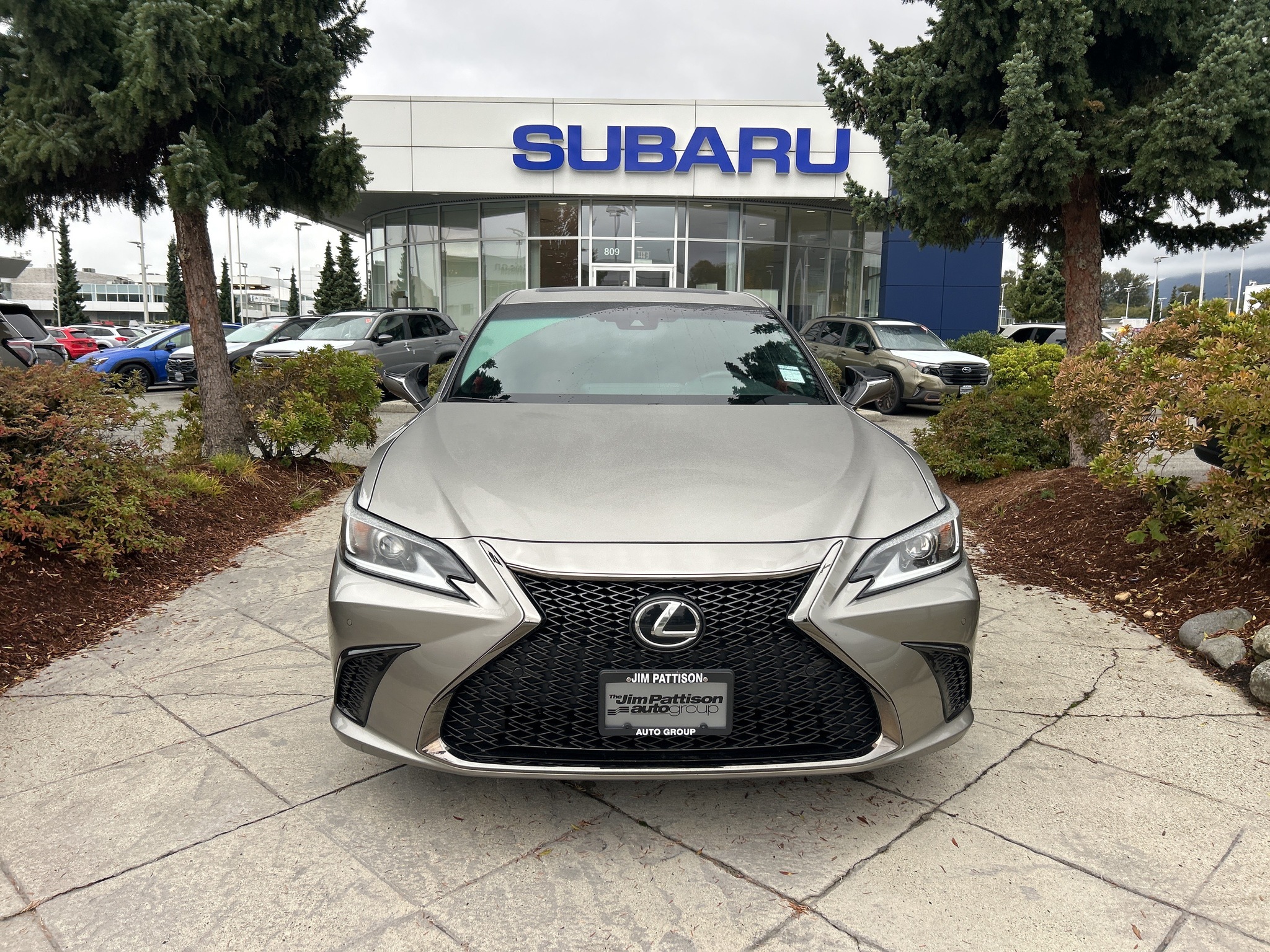 2019 Lexus ES