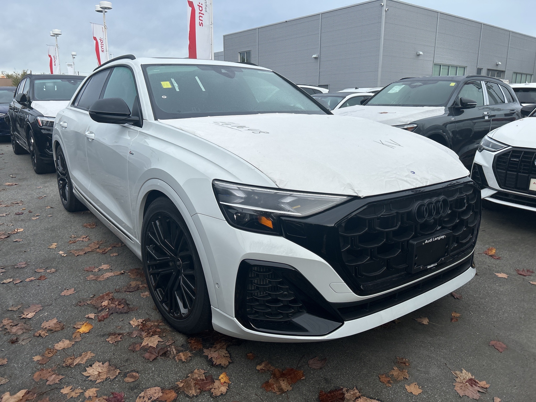 2026 Audi Q8