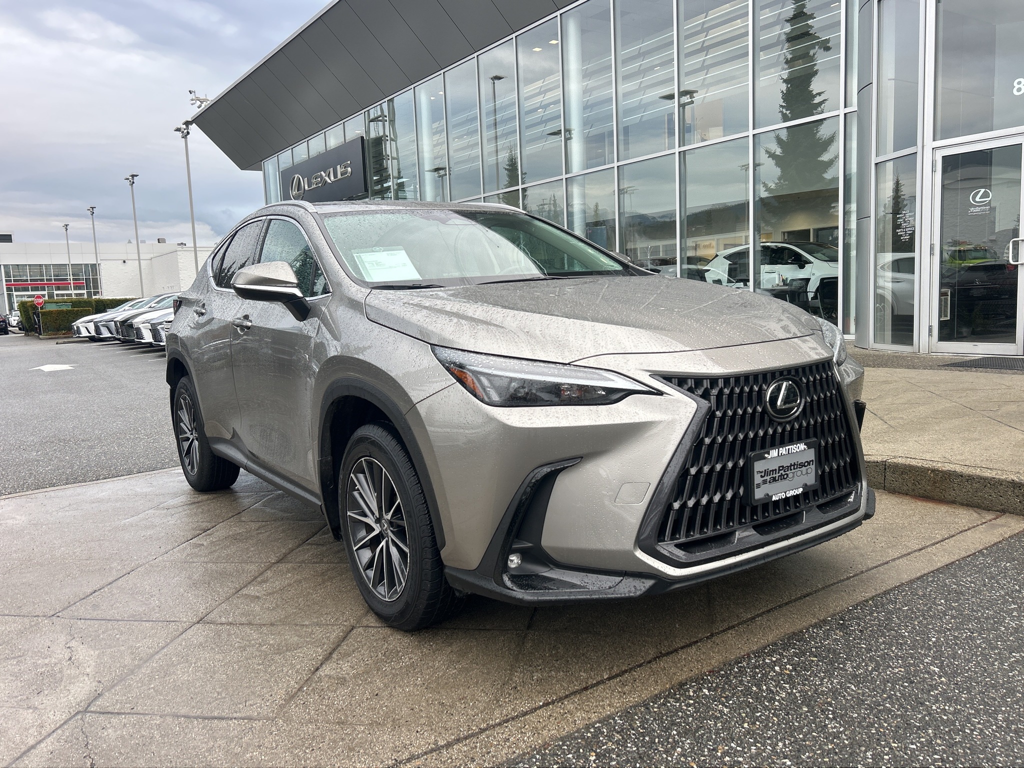 2023 Lexus NX