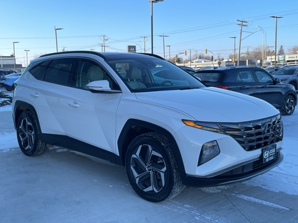 used 2022 Hyundai Tucson Hybrid car, priced at $32,200