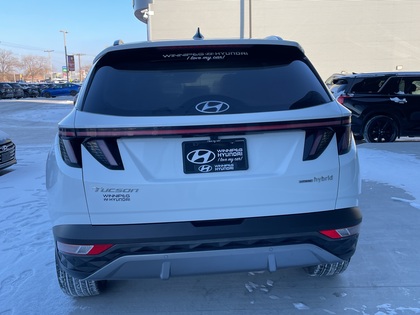 used 2022 Hyundai Tucson Hybrid car, priced at $32,200