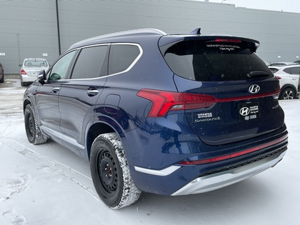 used 2023 Hyundai Santa Fe car, priced at $33,793