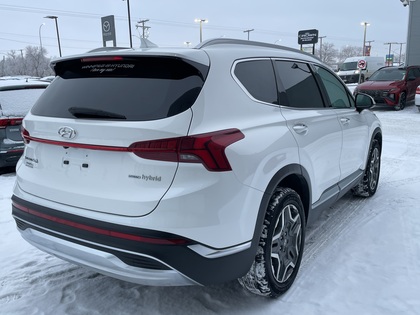 used 2023 Hyundai Santa Fe Hybrid car, priced at $37,200