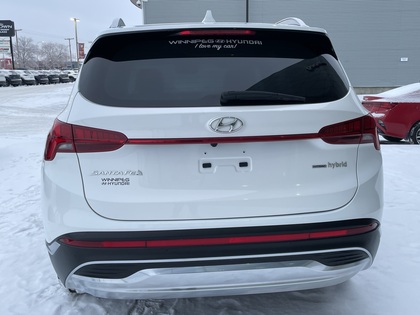 used 2023 Hyundai Santa Fe Hybrid car, priced at $37,200