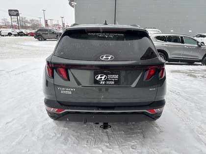 used 2024 Hyundai Tucson car, priced at $33,125