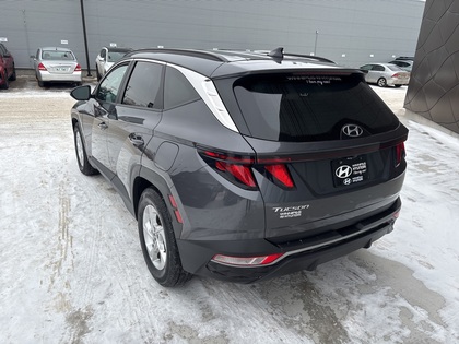 used 2023 Hyundai Tucson car, priced at $27,000