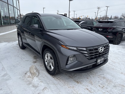 used 2023 Hyundai Tucson car, priced at $27,000