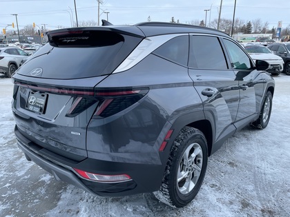 used 2024 Hyundai Tucson car, priced at $33,399