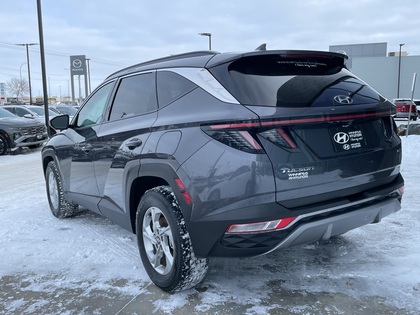 used 2024 Hyundai Tucson car, priced at $33,399