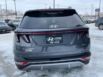 used 2024 Hyundai Tucson car, priced at $33,399