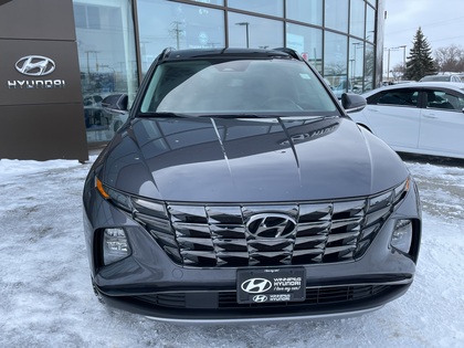 used 2024 Hyundai Tucson car, priced at $33,399