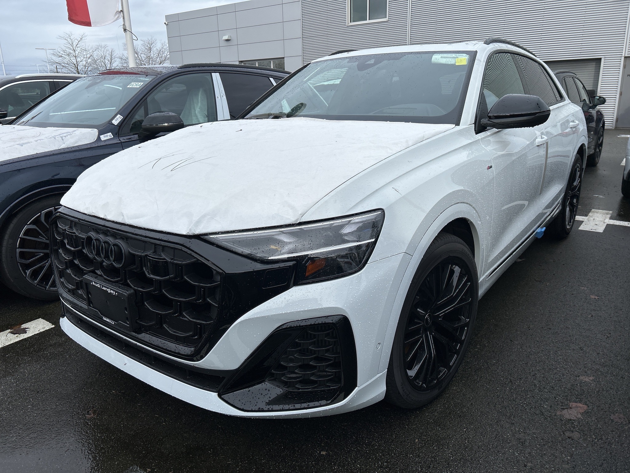 2026 Audi Q8