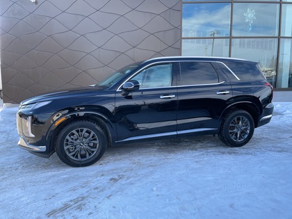 used 2023 Hyundai Palisade car, priced at $47,099