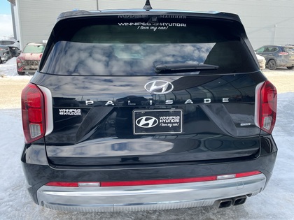 used 2023 Hyundai Palisade car, priced at $47,099