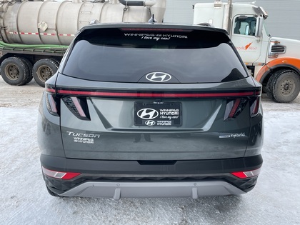 used 2022 Hyundai Tucson Hybrid car, priced at $35,969