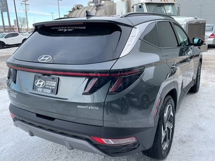 used 2022 Hyundai Tucson Hybrid car, priced at $35,969