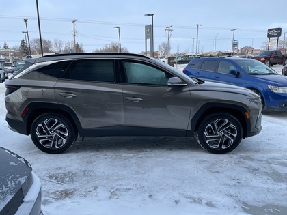 used 2025 Hyundai Tucson Plug-In Hybrid car, priced at $44,351