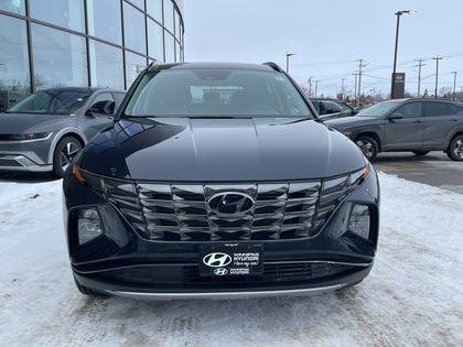 used 2023 Hyundai Tucson car, priced at $30,318