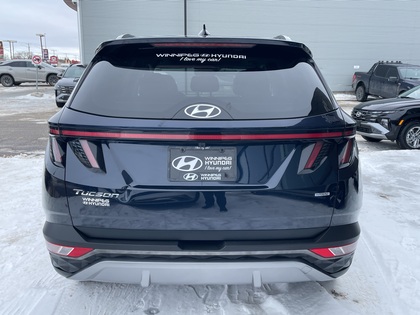 used 2023 Hyundai Tucson car, priced at $30,318