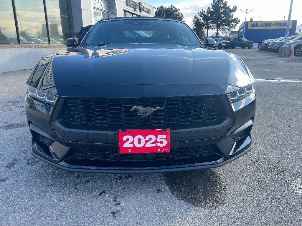 2025 Ford Mustang