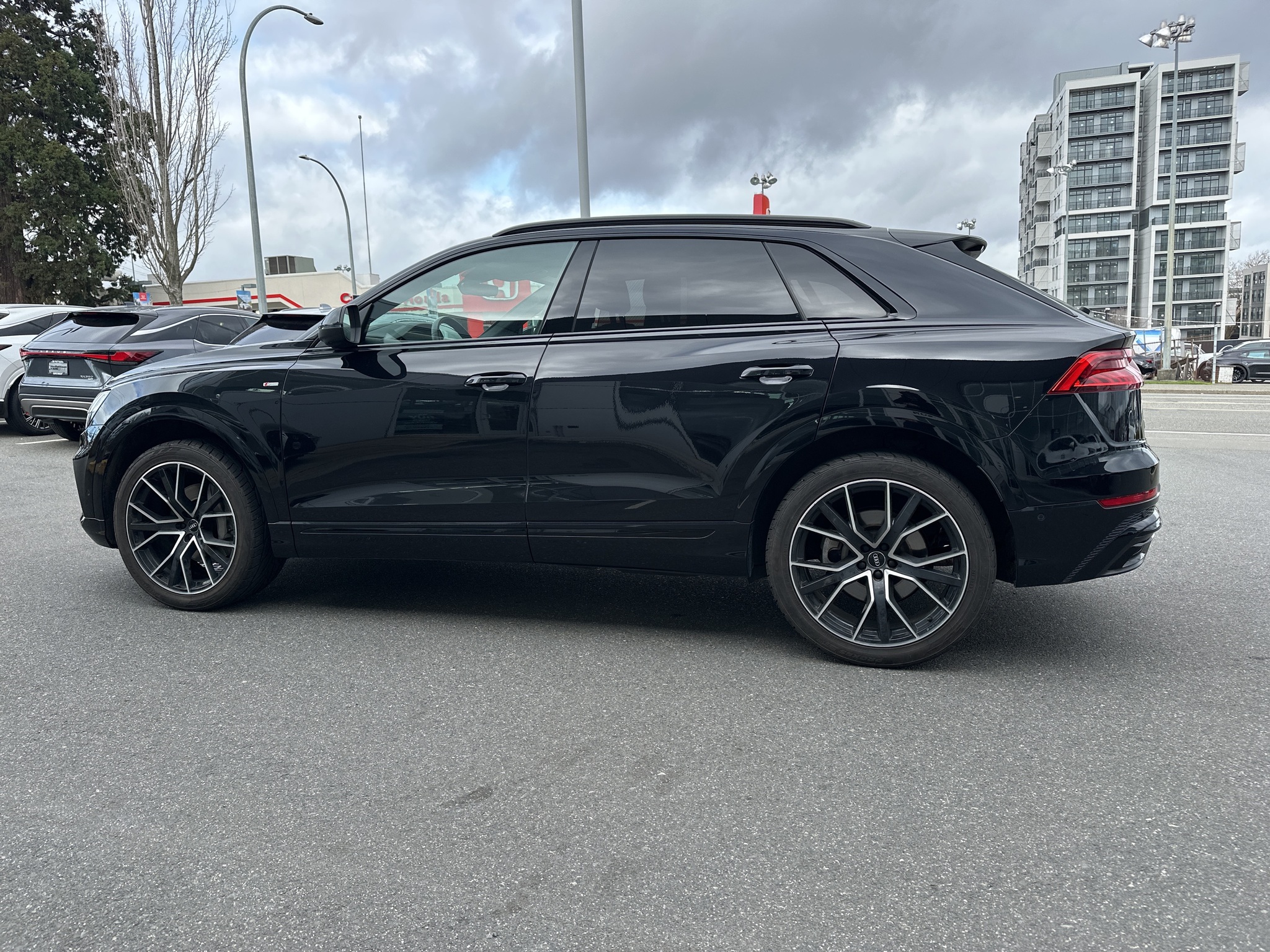 2019 Audi Q8