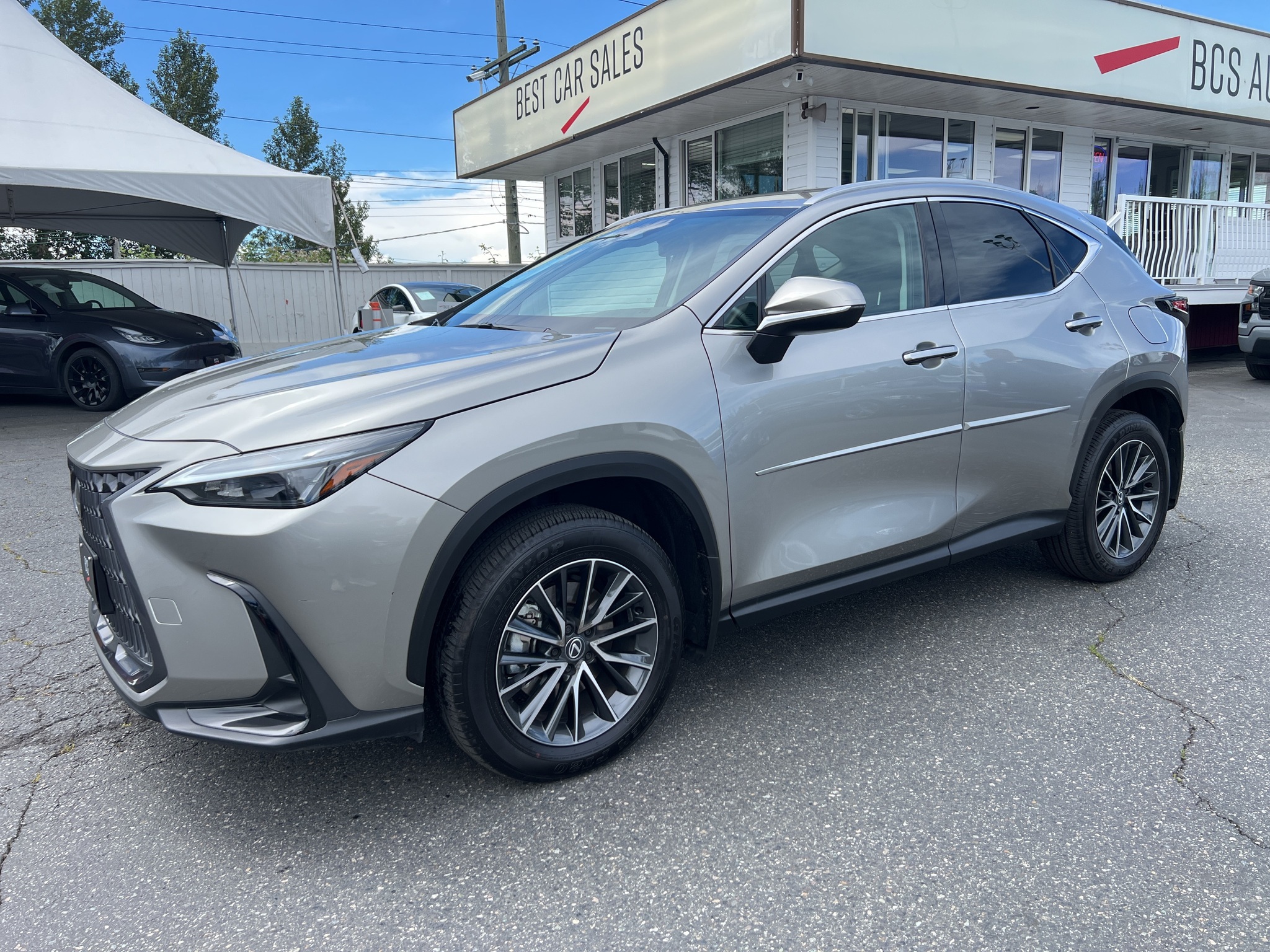 2025 Lexus NX