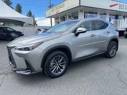 2025 Lexus NX 250 AWD