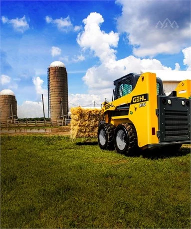 2025 Gehl R165 