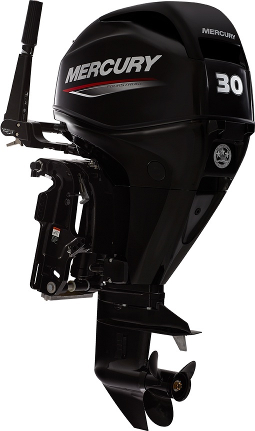 Mercury FourStroke 30 EFI 