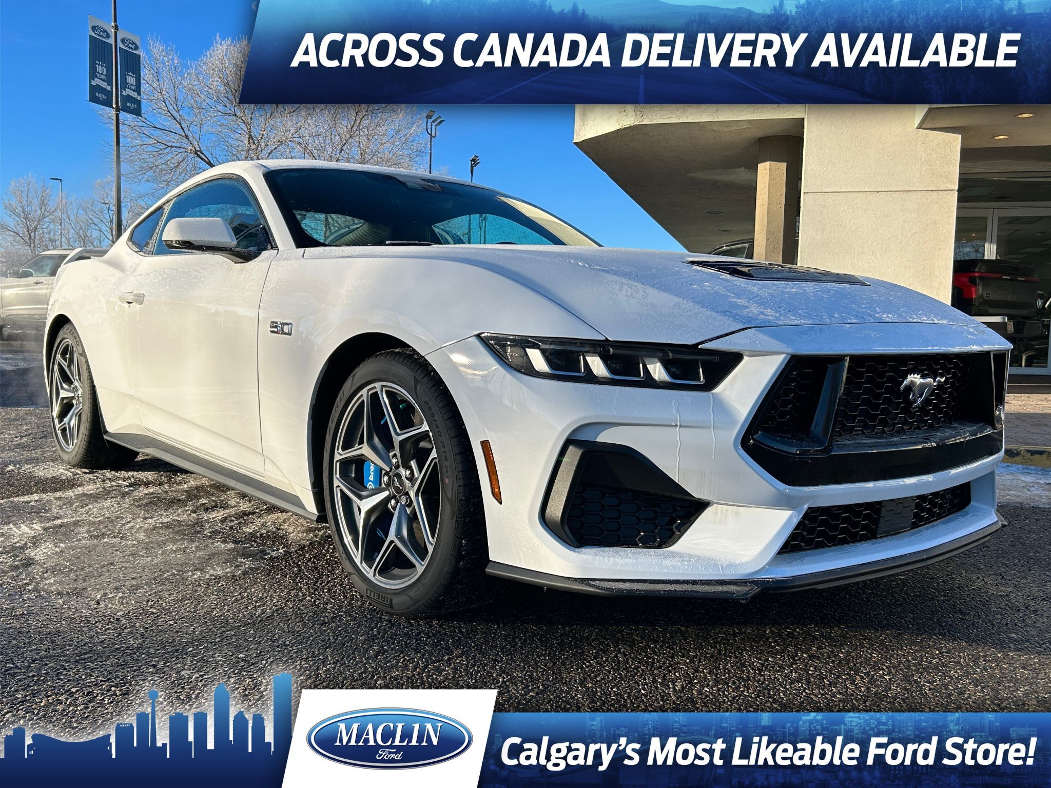 2024 Ford Mustang GT PREMIUM | PERFORMANCE PKG | NAV | SECURITY PKG