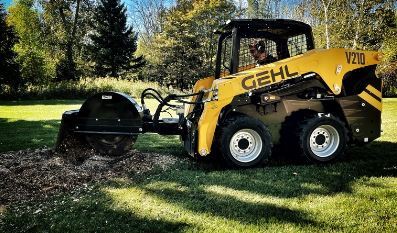 2025 Gehl V210 
