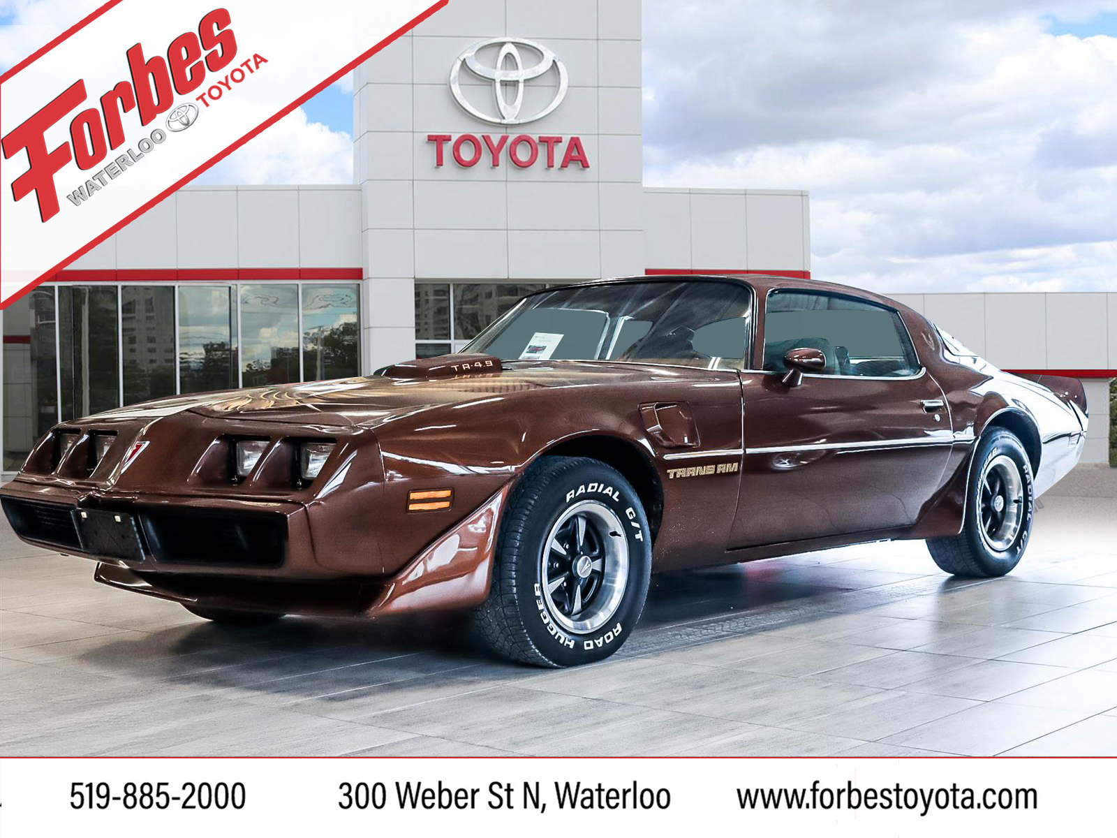 1979 Pontiac Firebird 1979 Pontiac TA (295) 301-4 Speed, 27K Miles, Brow
