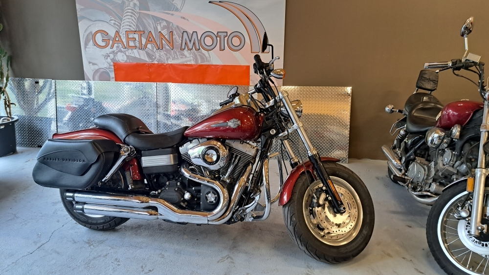 2010 Harley-Davidson FXDWG Dyna Glide 