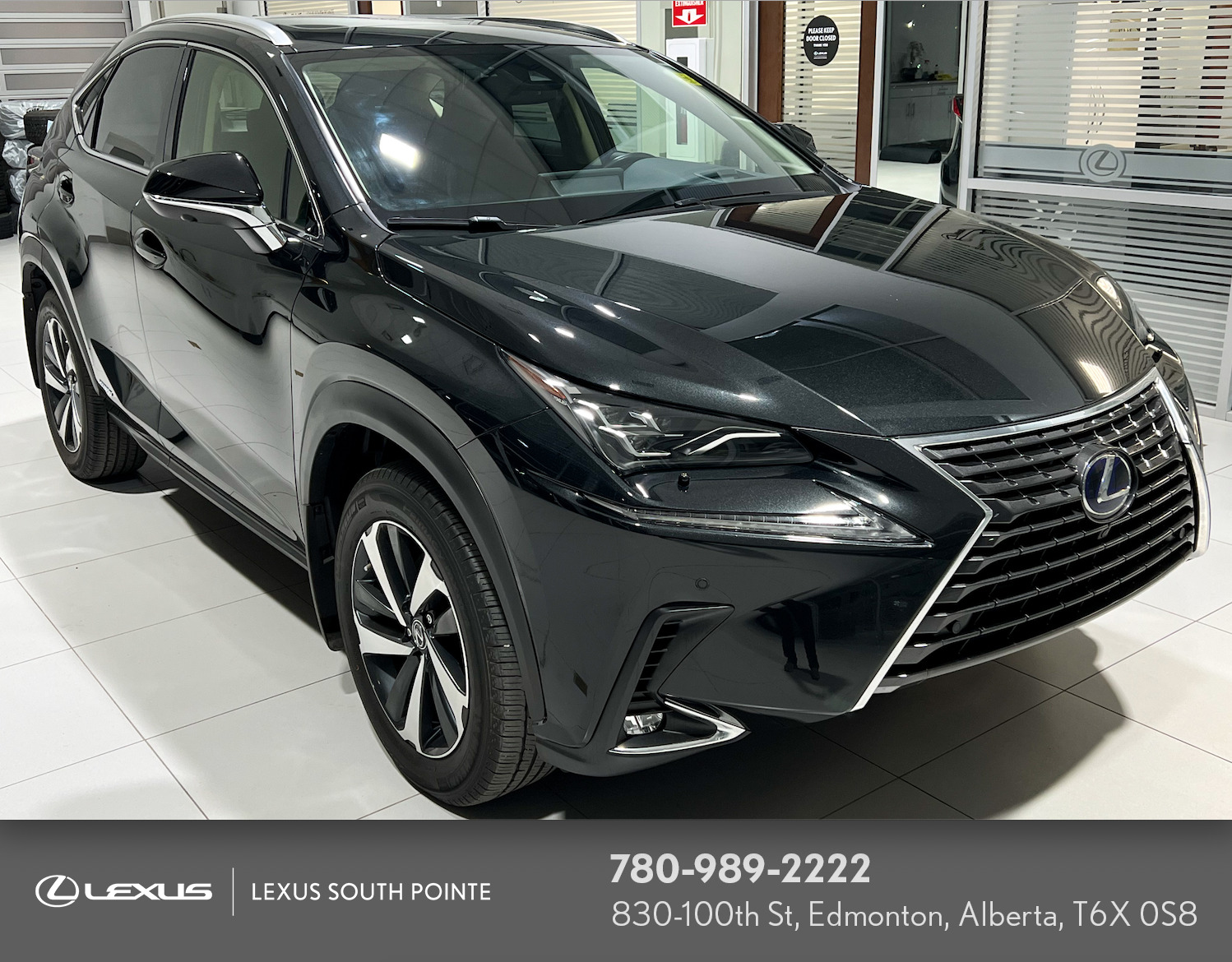 2021 Lexus NX 300h