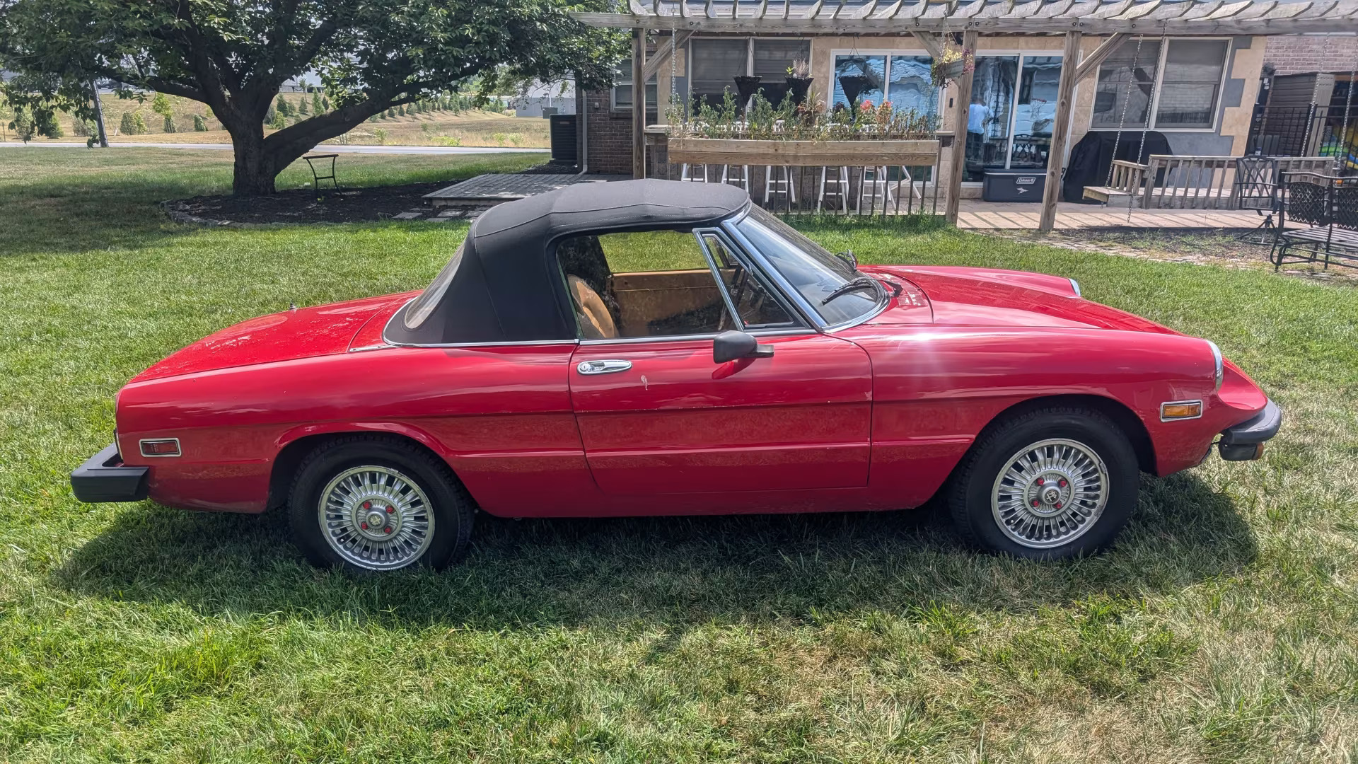1979 Alfa Romeo Spider 