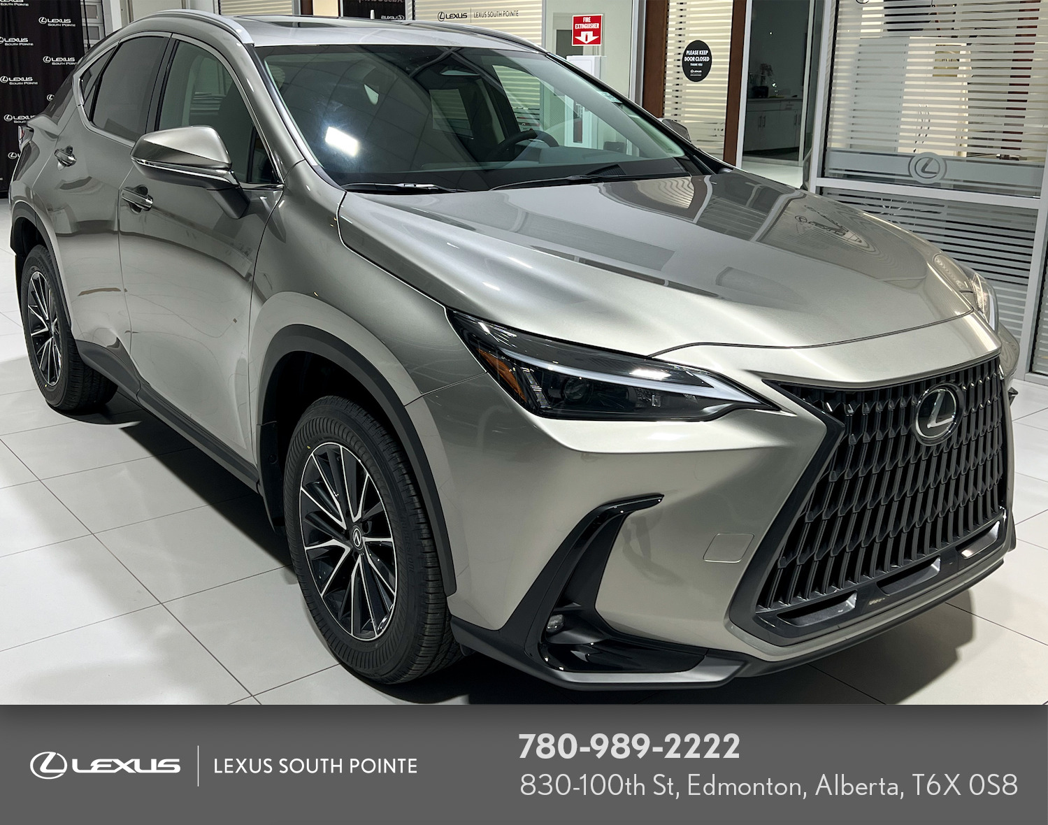 2025 Lexus NX 350