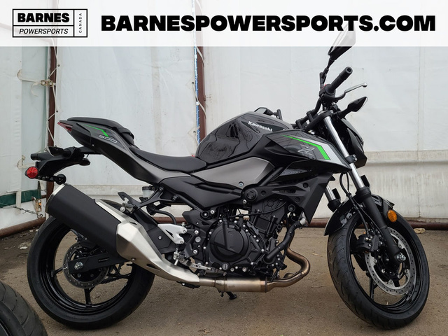 2024 Kawasaki Z500 