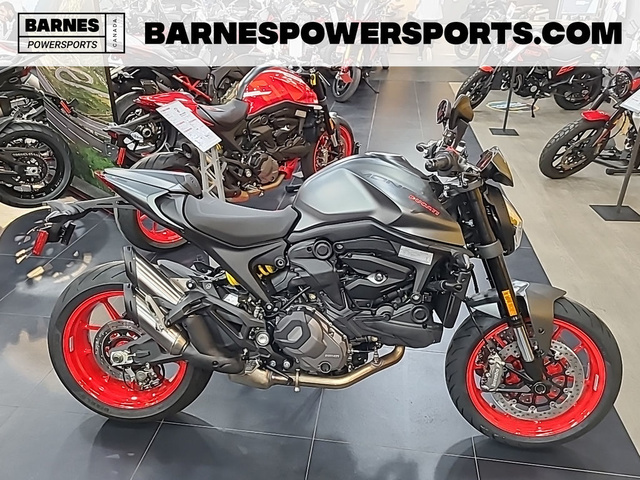 2024 Ducati Monster Plus Aviator Grey 