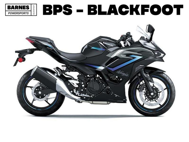 2025 Kawasaki Ninja 500 SE 