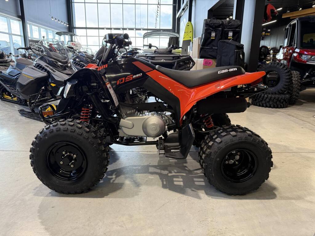 2025 Can-Am DS 250 2 disponibles