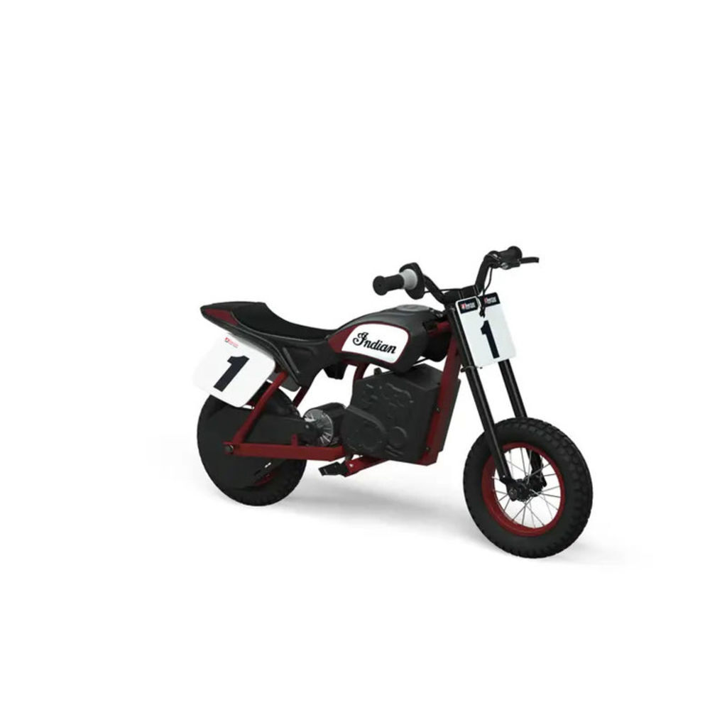 2024 Indian Motorcycles eFTR Mini, black 
