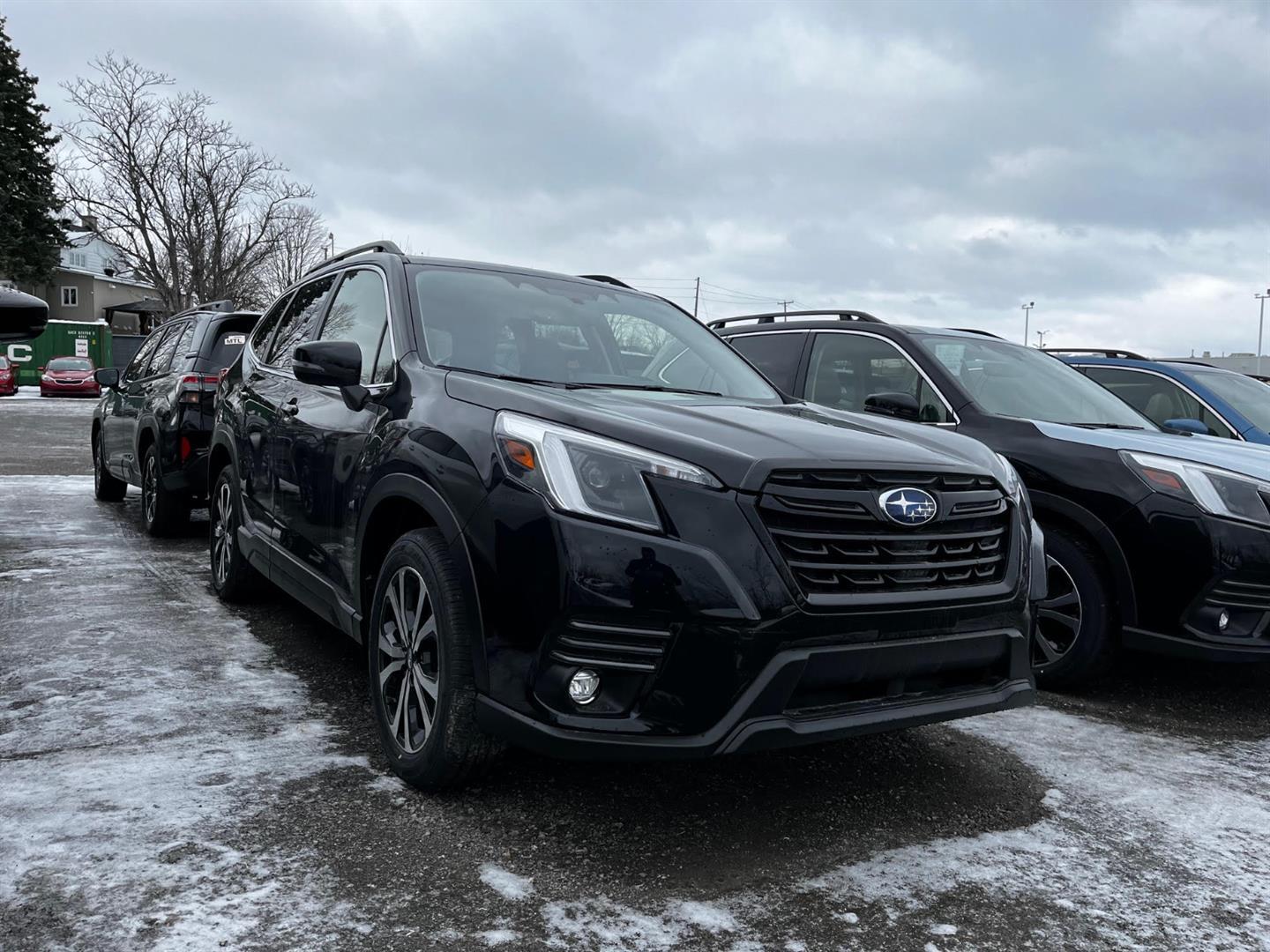 2024 Subaru Forester Limited