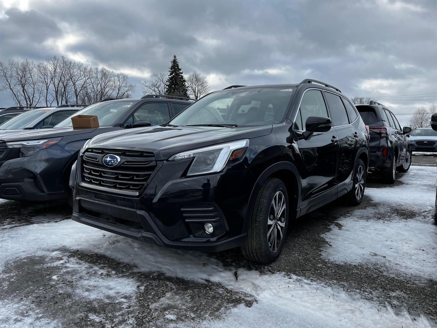 2024 Subaru Forester Limited