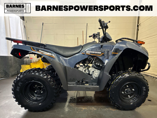 2025 Kawasaki KVF750LEF Brute Force 300