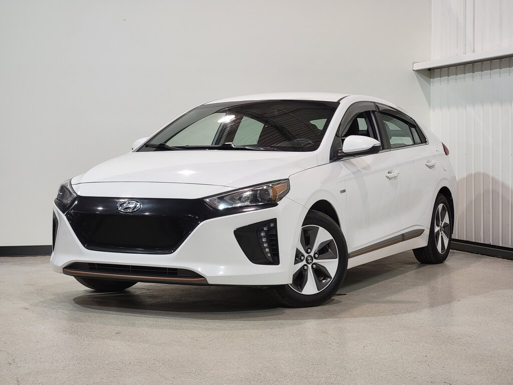 Hyundai Ioniq Electric 2019